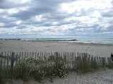 Along the beach